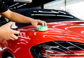 Paint Protection